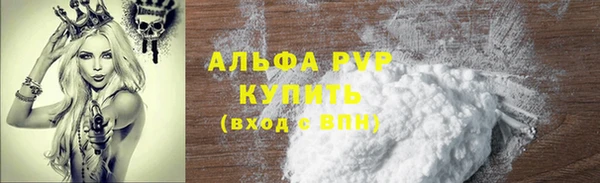 прущие грибы Магас