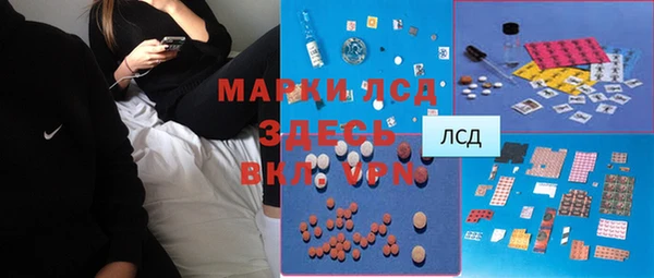прущие грибы Магас
