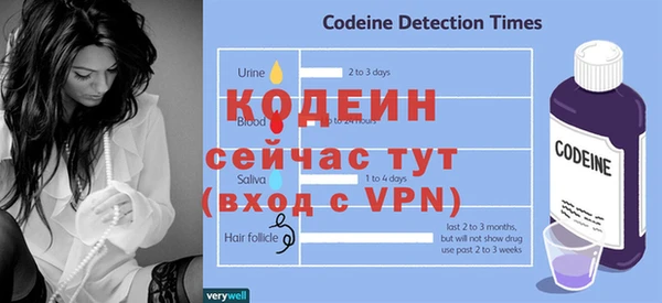 прущие грибы Магас