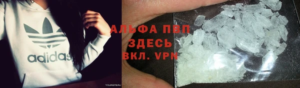 спиды Магадан