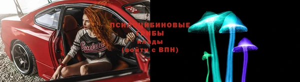 прущие грибы Магас