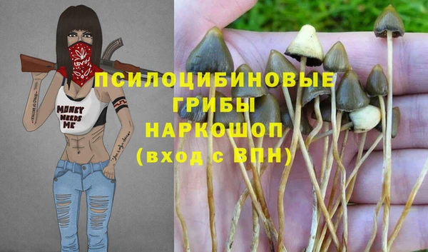 прущие грибы Магас