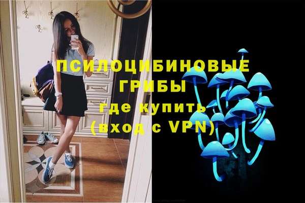 прущие грибы Магас
