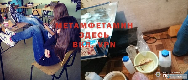прущие грибы Магас