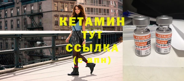 прущие грибы Магас