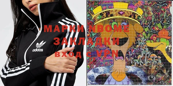 прущие грибы Магас
